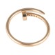ANEL CARTIER JUSTE UM CLOU