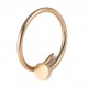 ANEL CARTIER JUSTE UM CLOU