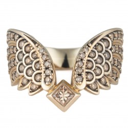 ANEL H. STERN COLEÇÃO ROCK SEASON